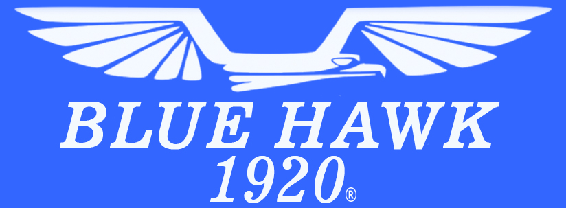 blue hawk logo